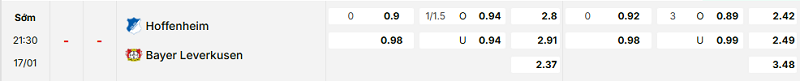 Bảng kèo mới nhất trận Hoffenheim vs Bayer Leverkusen